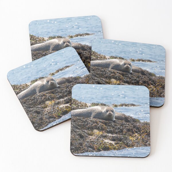 Item preview, Seal designed and sold by LaurenTucker.