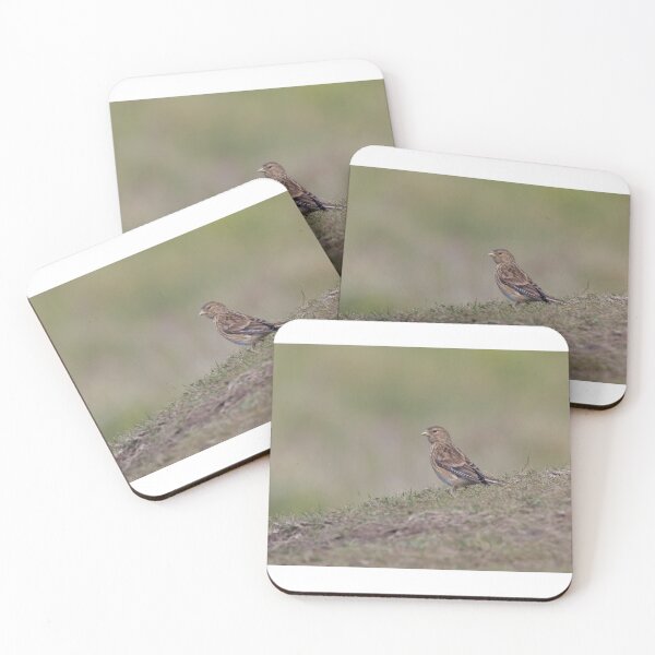 Item preview, Twite designed and sold by LaurenTucker.