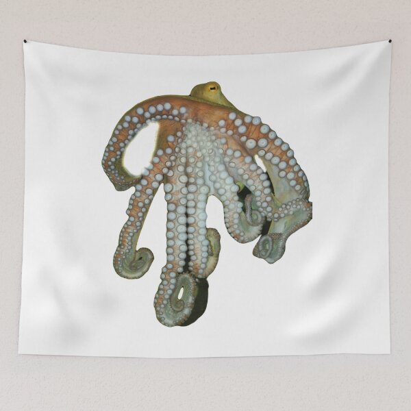 Item preview, Cute Octopus Seafood Design designed and sold by BlessingDirect.