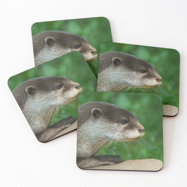 Item preview, Otterly Close designed and sold by rawshutterbug.