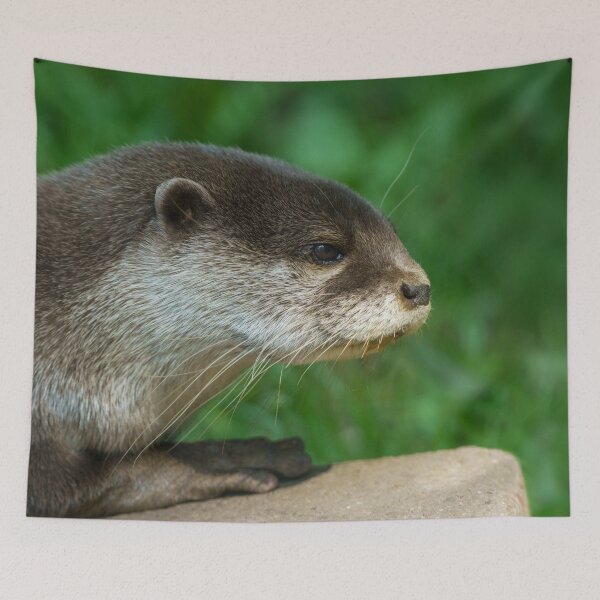 Item preview, Otterly Close designed and sold by rawshutterbug.