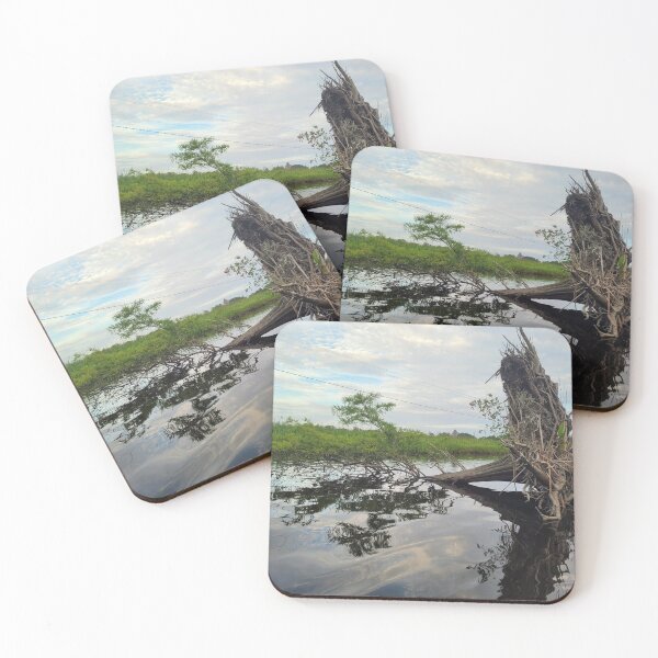 Item preview, Fallen tree, new life. designed and sold by Allthatfun.