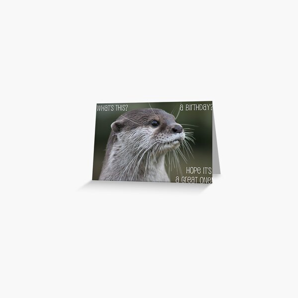 Otter birthday card Greeting Card