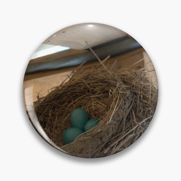 Item preview, Robins Nest with Eggs designed and sold by MaineCali.