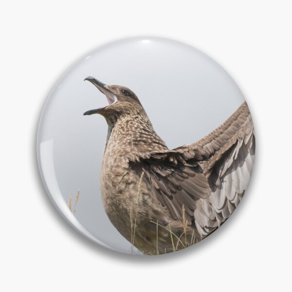 Item preview, Great Skua designed and sold by LaurenTucker.