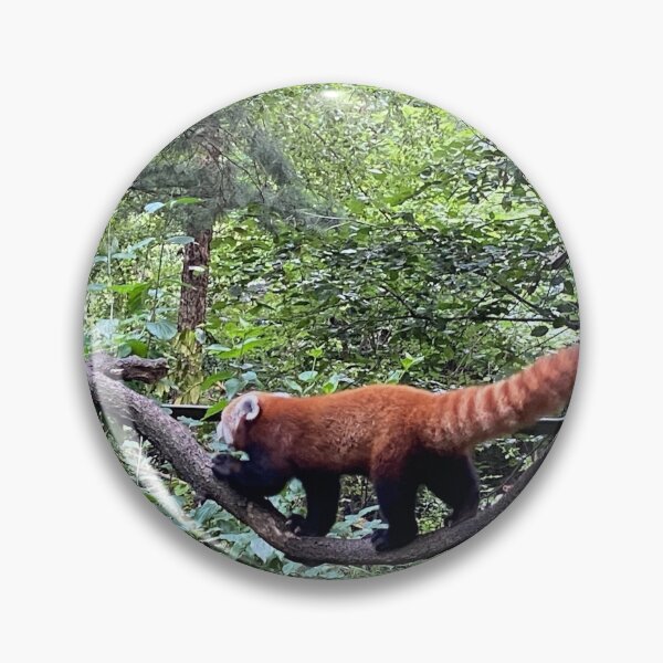 Item preview, Red panda designed and sold by BOBBYBABE.