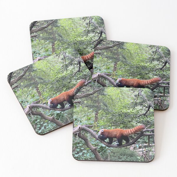 Item preview, Red panda designed and sold by BOBBYBABE.