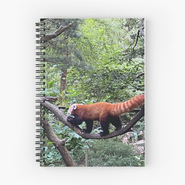 Item preview, Red panda designed and sold by BOBBYBABE.