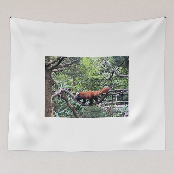Item preview, Red panda designed and sold by BOBBYBABE.