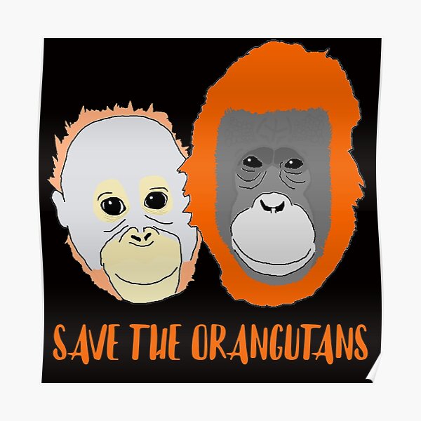 Bornean Orangutan Posters | Redbubble