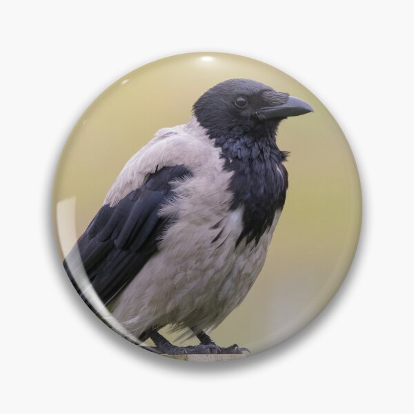 Item preview, Hooded Crow designed and sold by LaurenTucker.