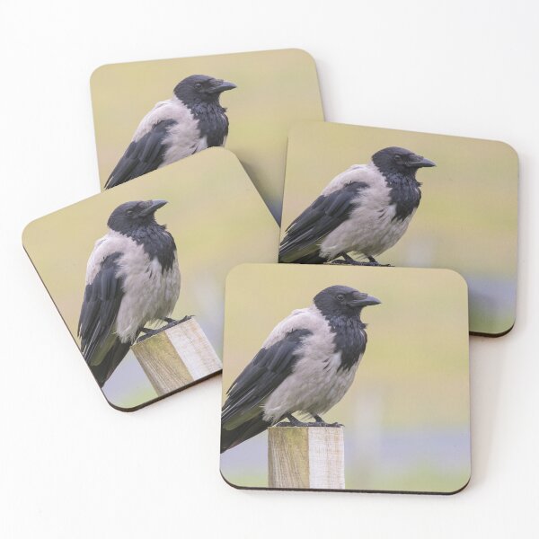Item preview, Hooded Crow designed and sold by LaurenTucker.