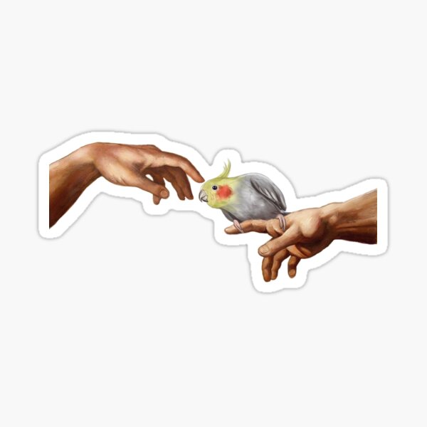Item preview, Cockatiel Touch Michelangelo Birb T-shirt Parrot Hand Scritch  designed and sold by Birb-Merch.