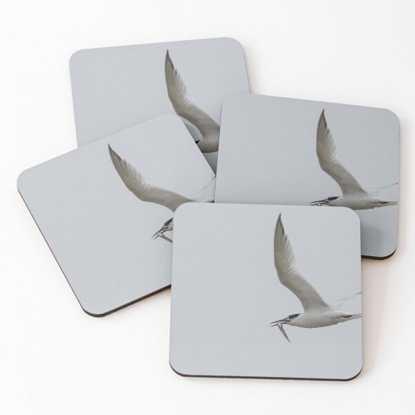 Item preview, Sandwich Tern designed and sold by LaurenTucker.