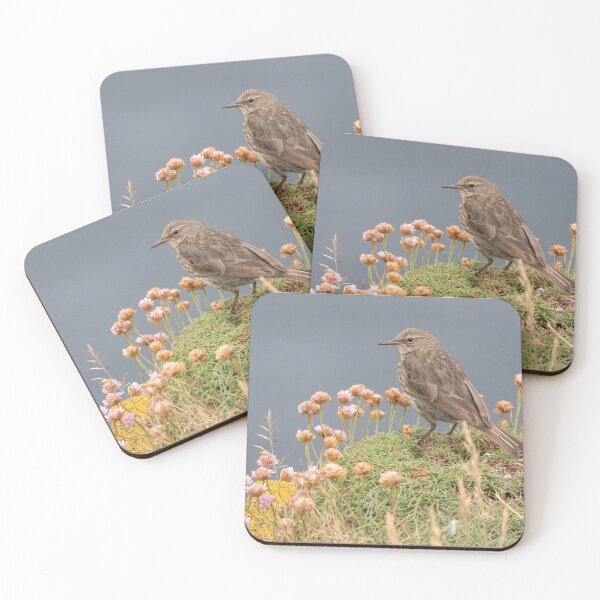 Item preview, Rock Pipit designed and sold by LaurenTucker.