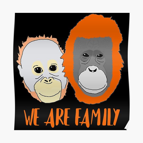 Endangered Apes Orangutan Print Poster