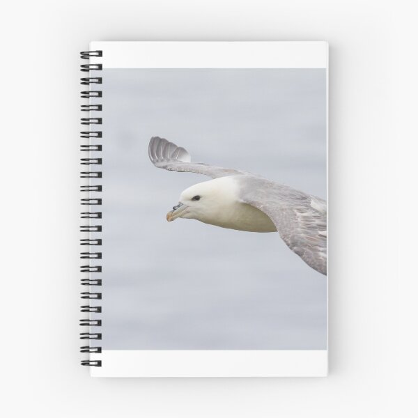 Item preview, Fulmar designed and sold by LaurenTucker.