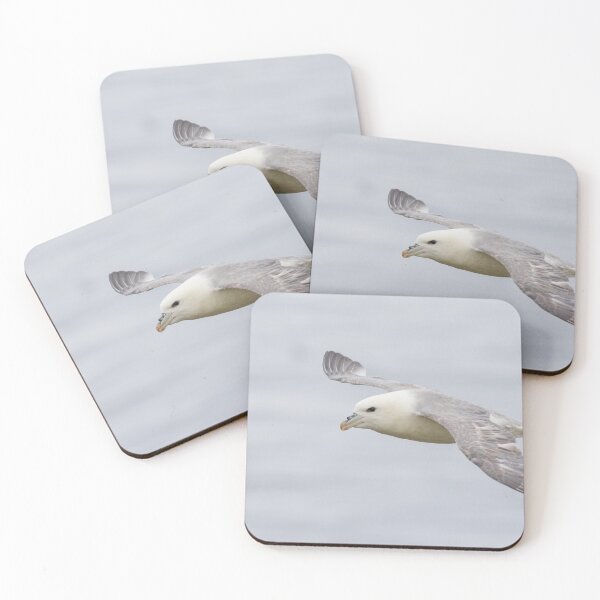 Item preview, Fulmar designed and sold by LaurenTucker.