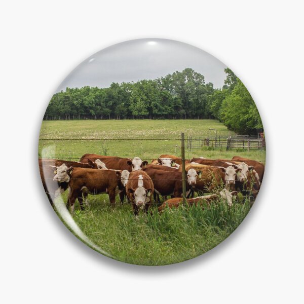 Item preview, Can We Help You - Texas Cows designed and sold by Peter Stawicki.