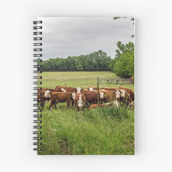 Item preview, Can We Help You - Texas Cows designed and sold by Peter Stawicki.