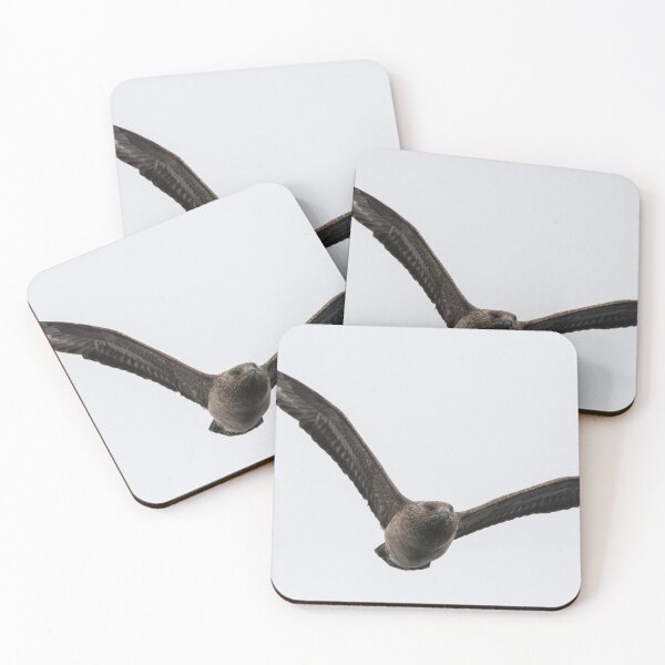 Item preview, Great Skua designed and sold by LaurenTucker.
