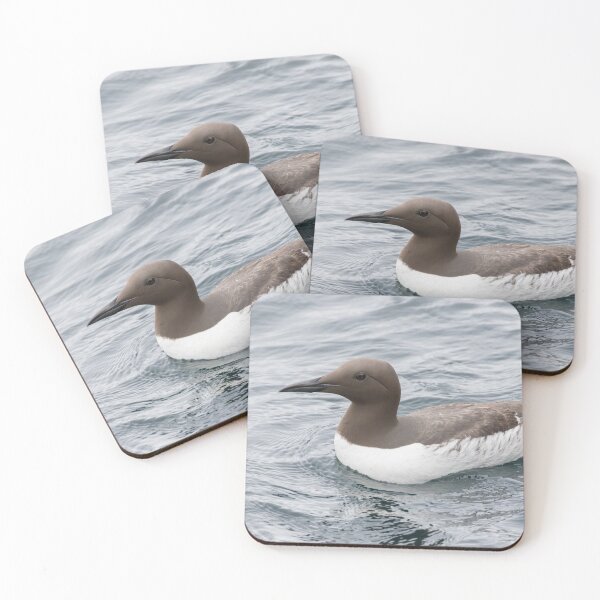 Item preview, Gulliemot designed and sold by LaurenTucker.