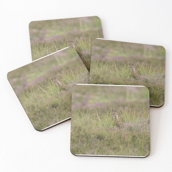 Item preview, Red Grouse (Juvenile) designed and sold by LaurenTucker.