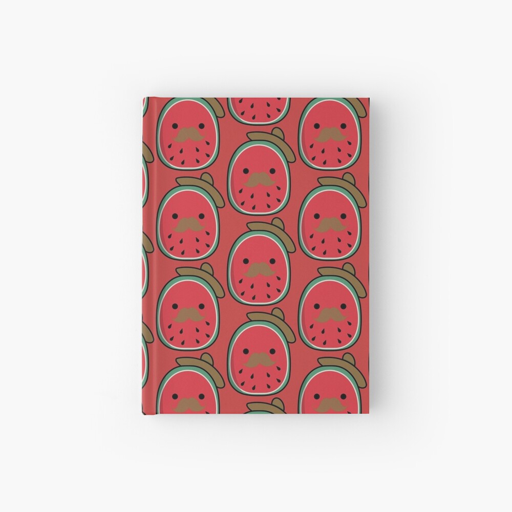 arturo the watermelon squishmallow