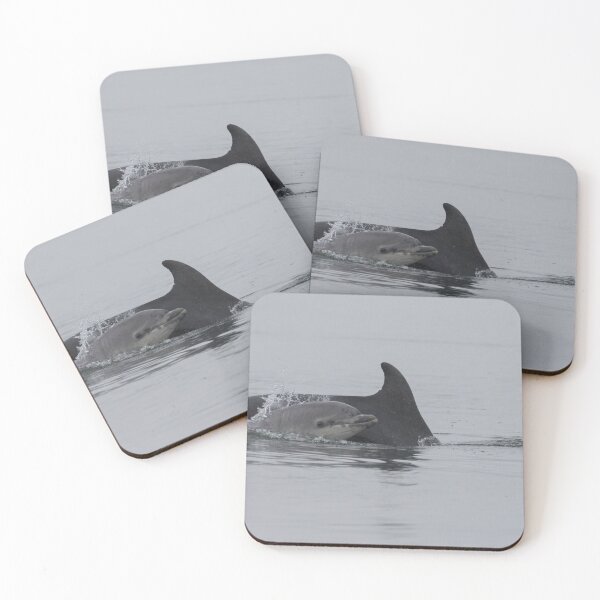 Item preview, Bottlenose Dolphin designed and sold by LaurenTucker.
