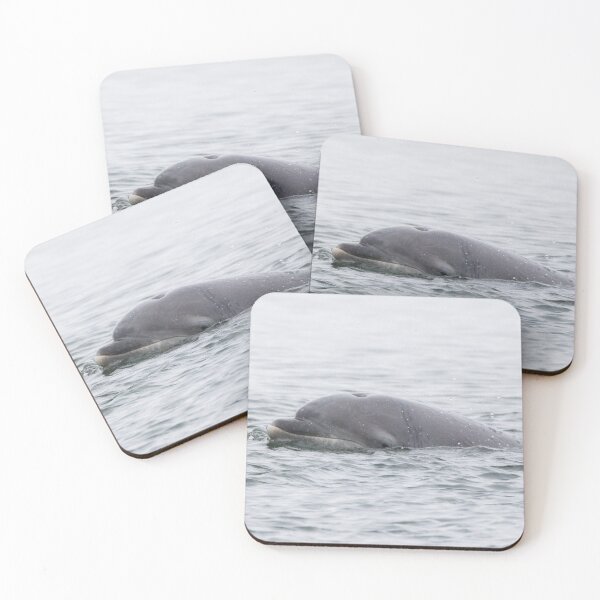 Item preview, Bottlenose Dolphin designed and sold by LaurenTucker.