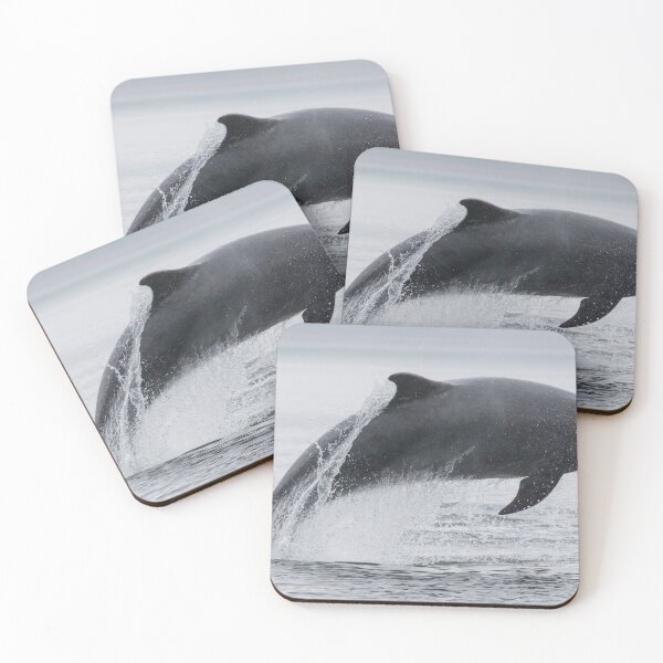 Item preview, Bottlenose Dolphin designed and sold by LaurenTucker.