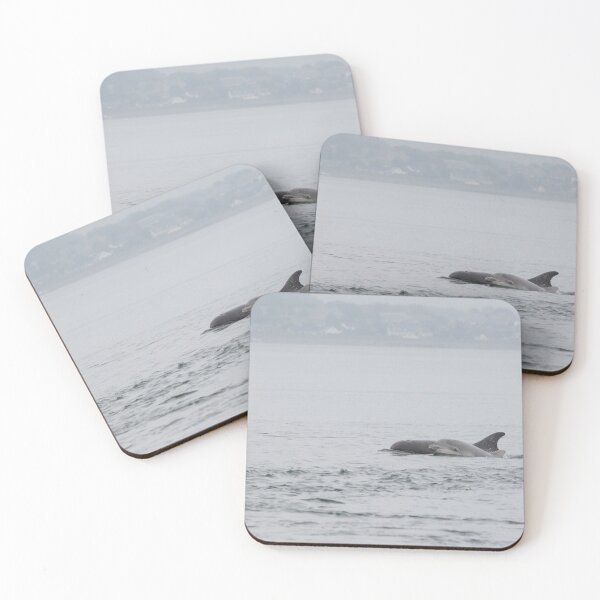 Item preview, Bottlenose Dolphin designed and sold by LaurenTucker.