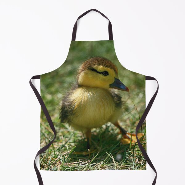 Item preview, Posing designed and sold by NunoPires.