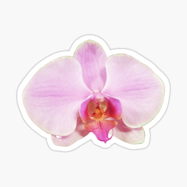 Item preview, Light pink phalaenopsis  designed and sold by ArteAnnie.