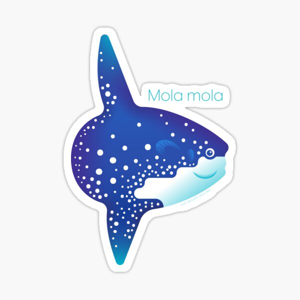 Vista previa del artículo con la obra «Mola mola - Ocean Sunfish», diseñado y vendido por David Orr.