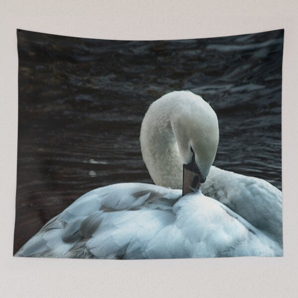 Item preview, Swan prenning its feathers designed and sold by Neilchurcherart.