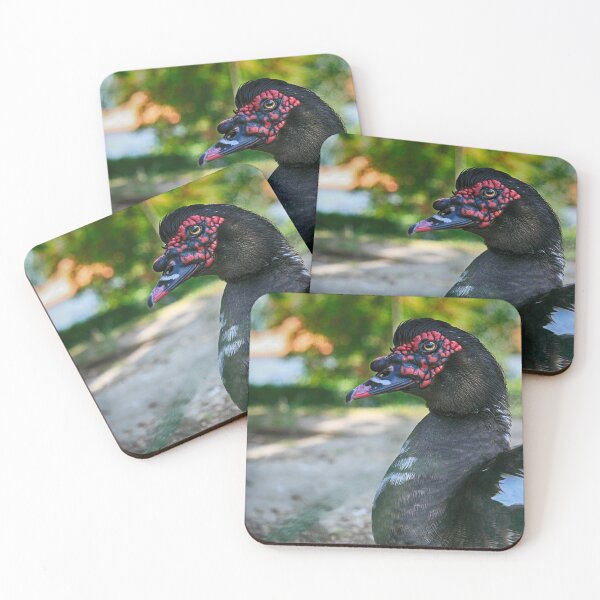 Item preview, Muscovy Duck designed and sold by NunoPires.
