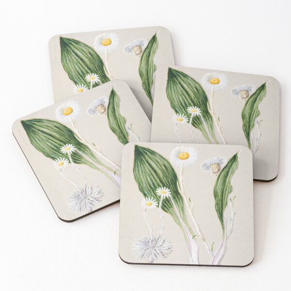 Item preview, mountain daisy - Sarah Featon (1848–1927) designed and sold by shencaben.