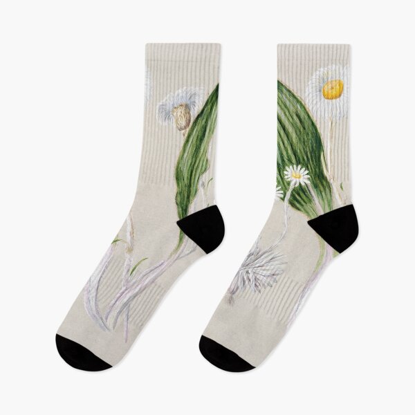 Item preview, mountain daisy - Sarah Featon (1848–1927) designed and sold by shencaben.