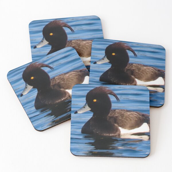 Item preview, A Fabulous Blue Billed Male Diving Duck designed and sold by Karen Thomson.