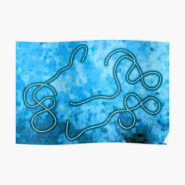 Ebola Virus Poster