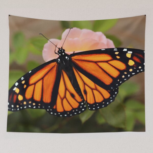 Item preview, Monarch on Rose designed and sold by StampCity.
