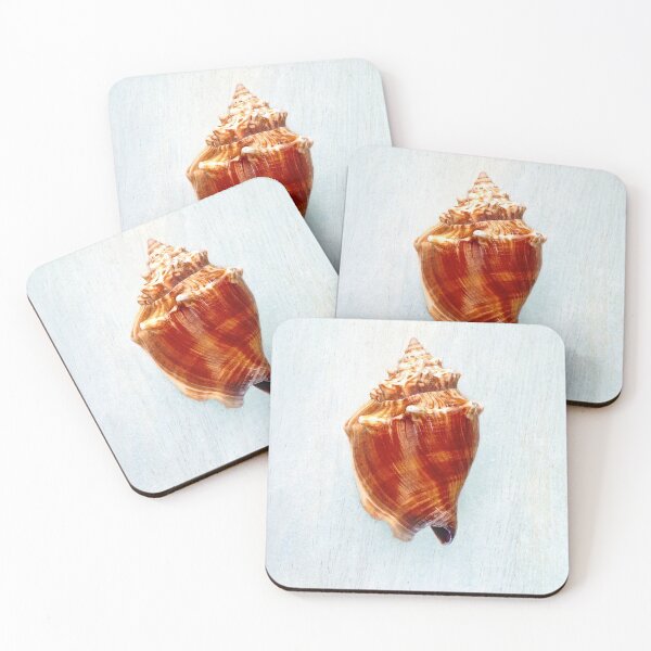 Item preview, Florida Fighting Conch II designed and sold by Kathilee.