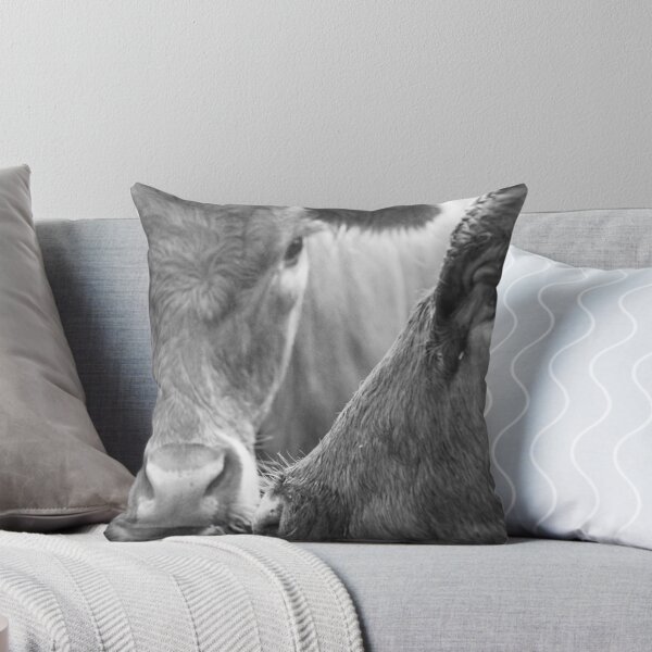 Item preview, nosey designed and sold by Jean Poulton.