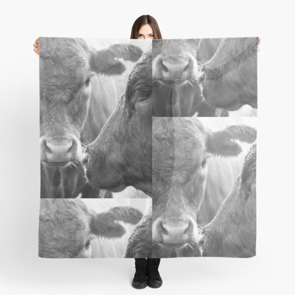 nosey Scarf