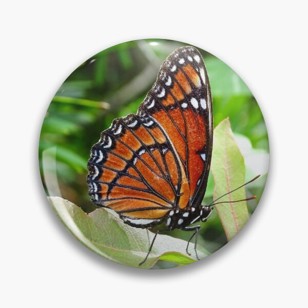 Item preview, The Viceroy Butterfly designed and sold by JackieSparrow23.