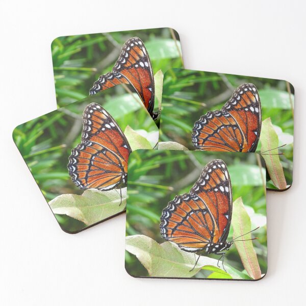 Item preview, The Viceroy Butterfly designed and sold by JackieSparrow23.