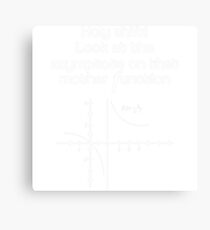 Holy shift look at the asymptote on that mother function Canvas Print