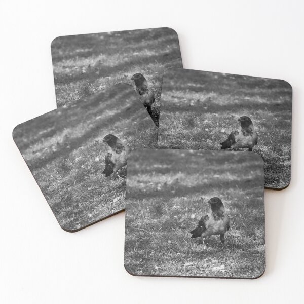 Item preview, Hooded crow on the grass bw designed and sold by Jouko Lehto Photography.