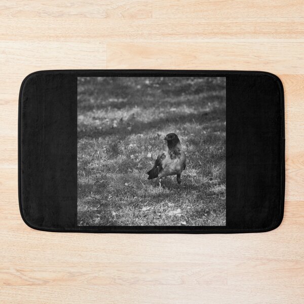 Item preview, Hooded crow on the grass bw designed and sold by Jouko Lehto Photography.